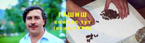 прущие грибы Надым