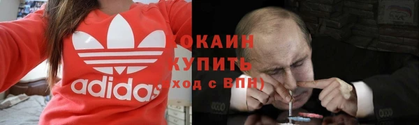 прущие грибы Надым