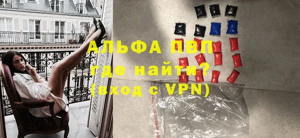прущие грибы Надым