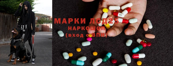 прущие грибы Надым