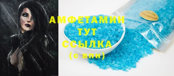 прущие грибы Надым