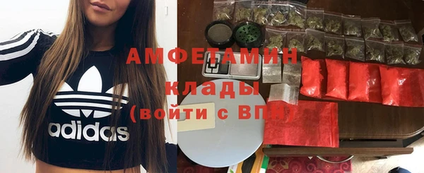 прущие грибы Надым
