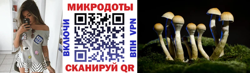 Псилоцибиновые грибы Magic Shrooms где продают наркотики Межгорье
